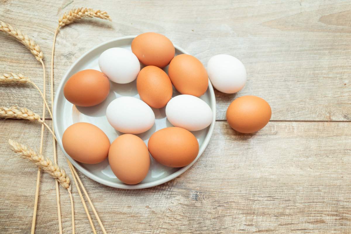 How many eggs make 50g of protein