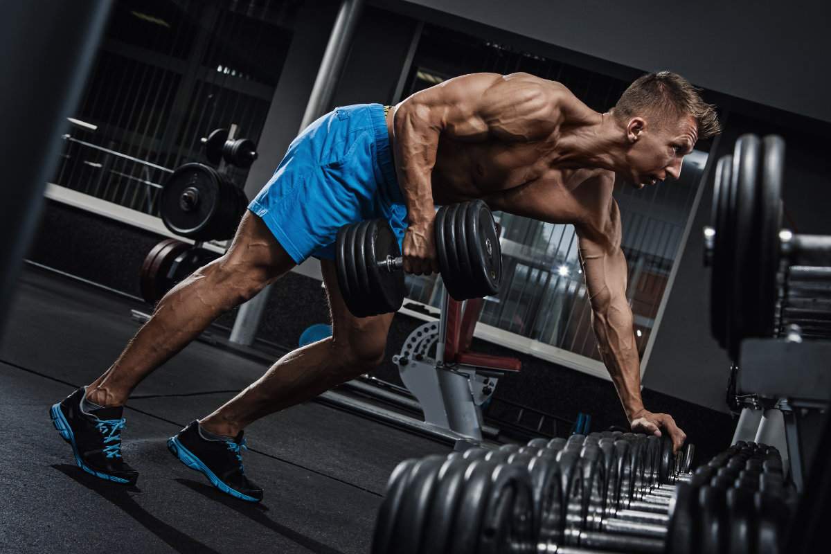 Which Muscle Grows the Fastest?